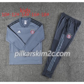 Bayern Monachium Dziecięca Komplet Bluzy Treningowe Szary 2018-2019